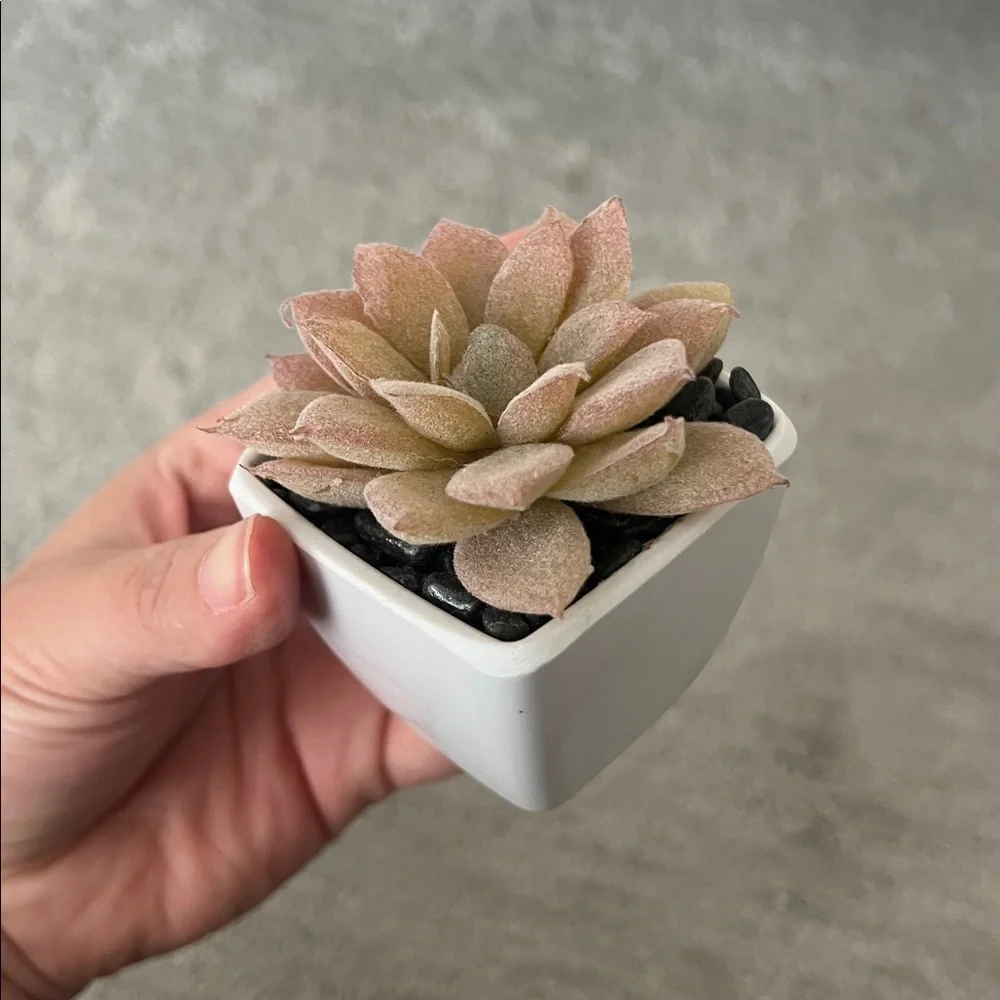 Mini Artificial Succulent Plants